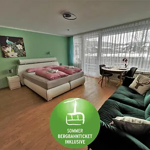 Ifenblick Mit Netflix Und Sommer-bergbahnticket Apartment